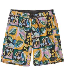 Men's Wavefarer? Boardshorts - 19